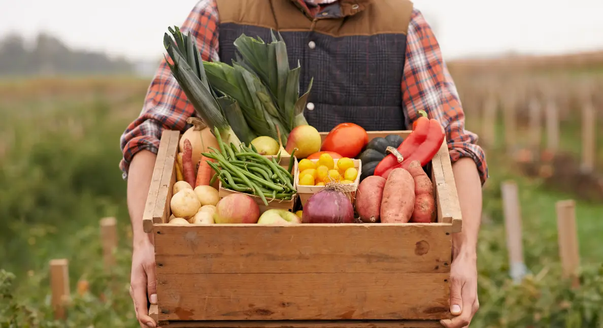 A farmer stands in an open field holding a wooden crate of mixed vegetables and fruit, the essence of direct-from-producer freshness.