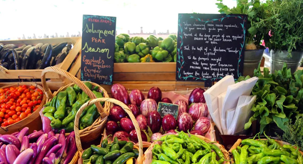 Organic food markets offering fresh eggplants, peppers, tomatoes, and leafy greens in baskets with handwritten signs.