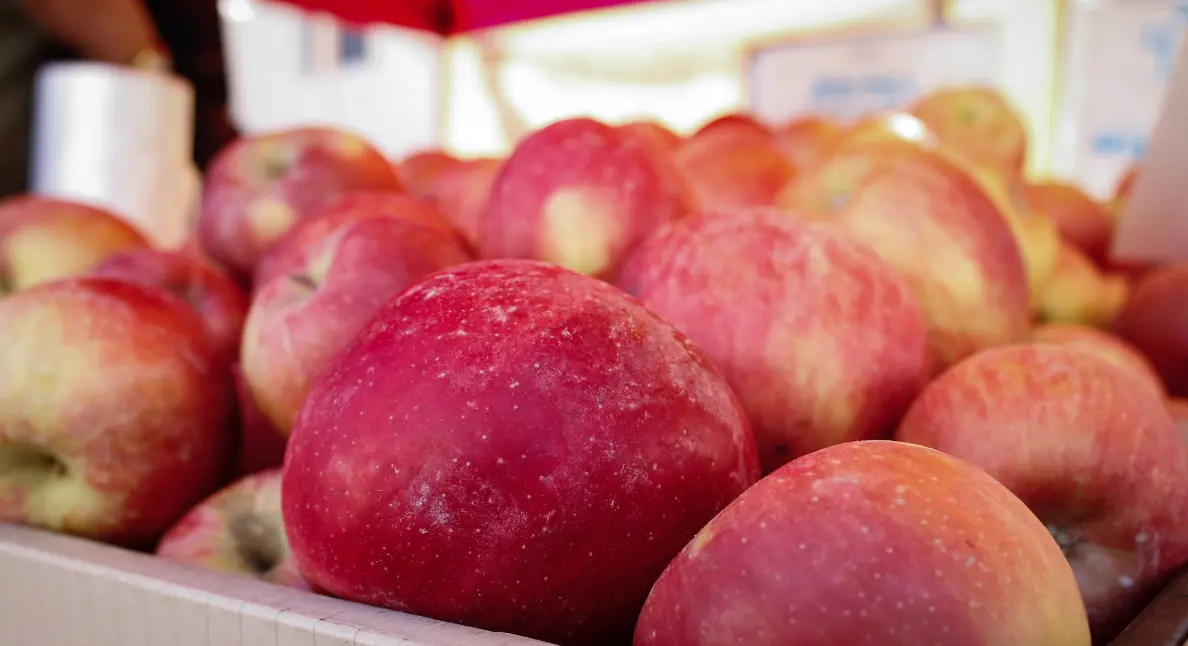 Organic food supply of fresh red apples arranged in a wooden crate at a market stand under natural light.