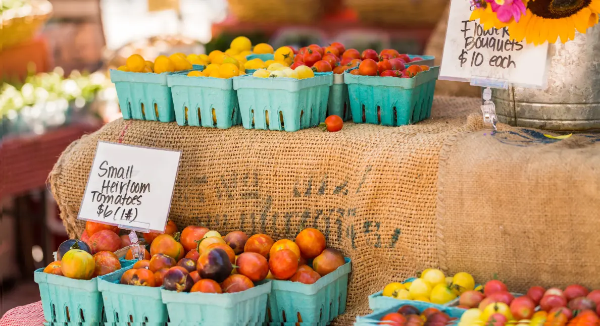 Organic food supply featuring small heirloom tomatoes in eco-friendly cartons at a farmers market.