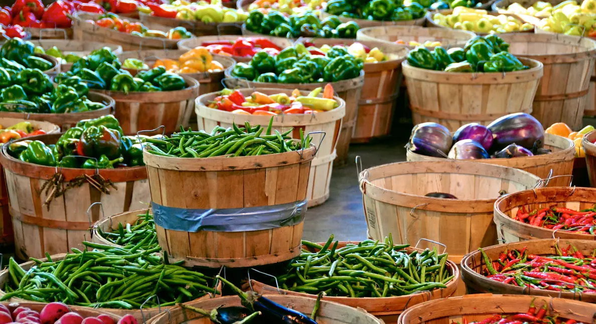 Bushel baskets overflowing with green beans, peppers, eggplant, and chillies &mdash; perfect for those who shop for seasonal vegetables.