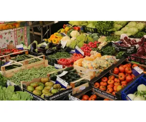 Local makers displaying colorful fresh vegetables and greens at an outdoor produce market.