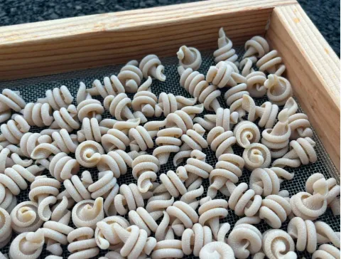 Uncooked vesuvio pasta pieces drying on a mesh rack inside a wooden tray.