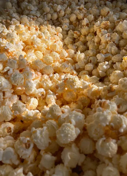 white cheddar kettle corn close-up with golden caramel glaze in warm sunlight