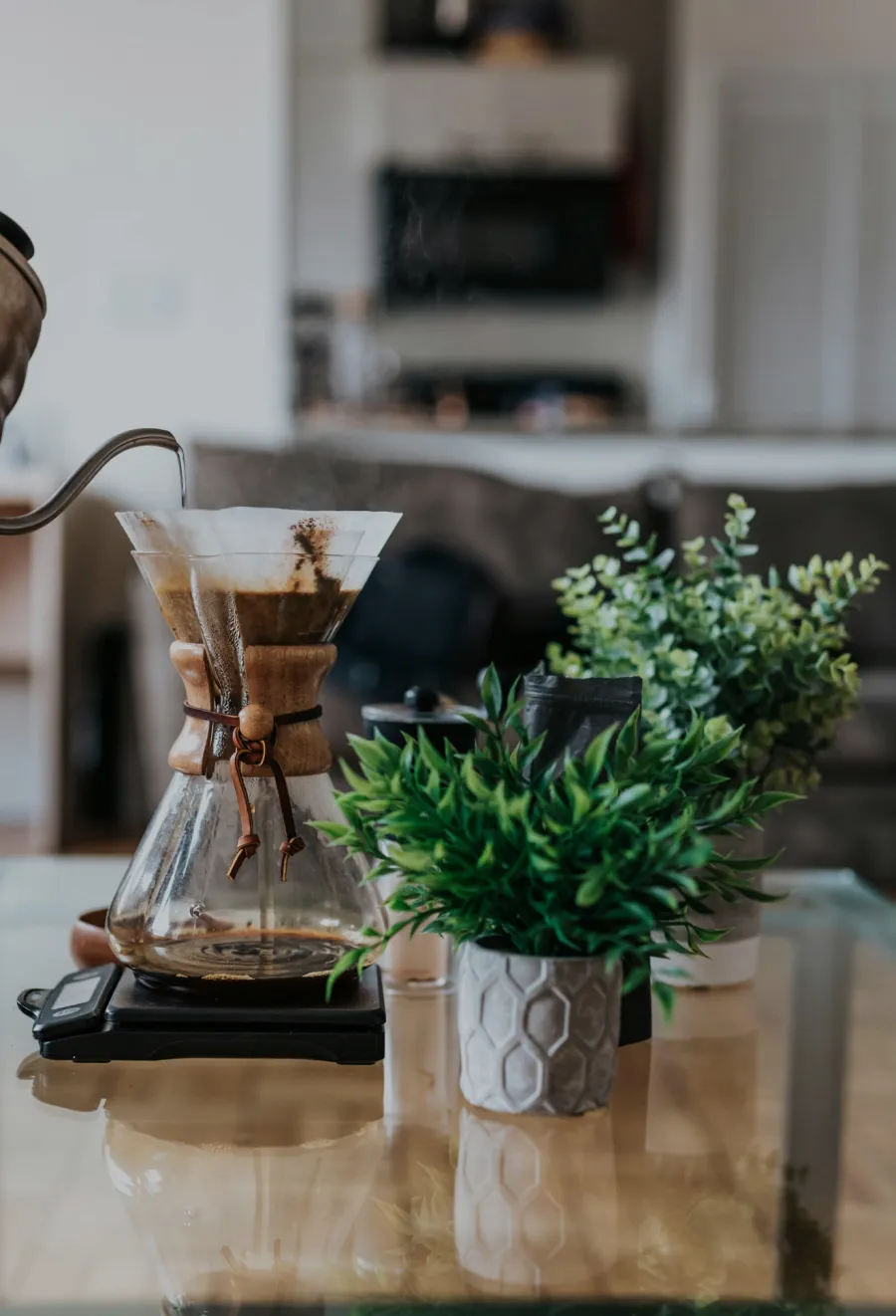 Drip coffee being brewed in a Chemex with a gooseneck kettle on a glass table near potted plants.