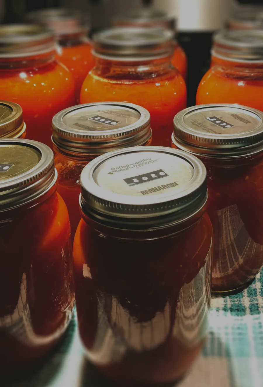 Salsa jars in a kitchen setting, sealed with metal lids and arranged on a plaid cloth for storage.